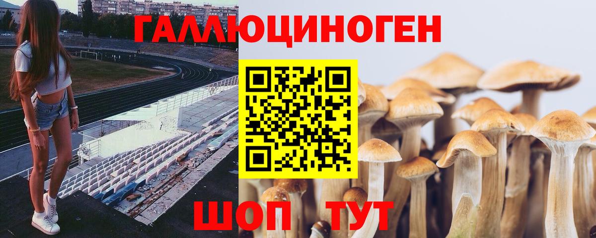 Борисоглебск  Псилоцибиновые грибы Magic Shrooms  Вход с VPN 
